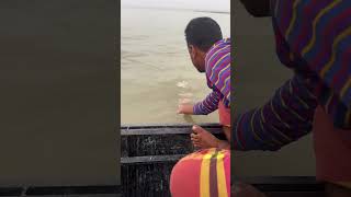 দেখেন কিভাবে মাছ ধরে #farmer #agro #fishing #viralvideos #fish #shorts