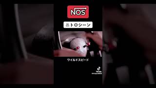 ワイスピニトロ