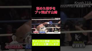 挑発してきた相手をブッ飛ばすw【山崎秀晃VS堀井翼】