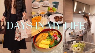 【Vlog】朝5時のお弁当作りから始まる充実DAY｜お買い物＆簡単スパイスで本格カレー！1時間で晩ごはん準備｜夫婦の会話｜購入品紹介