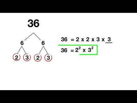 What is the prime factorization of 750 using exponents?