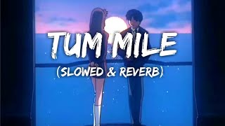 Tum Mile 😘 (Slowed and Reverb) Song