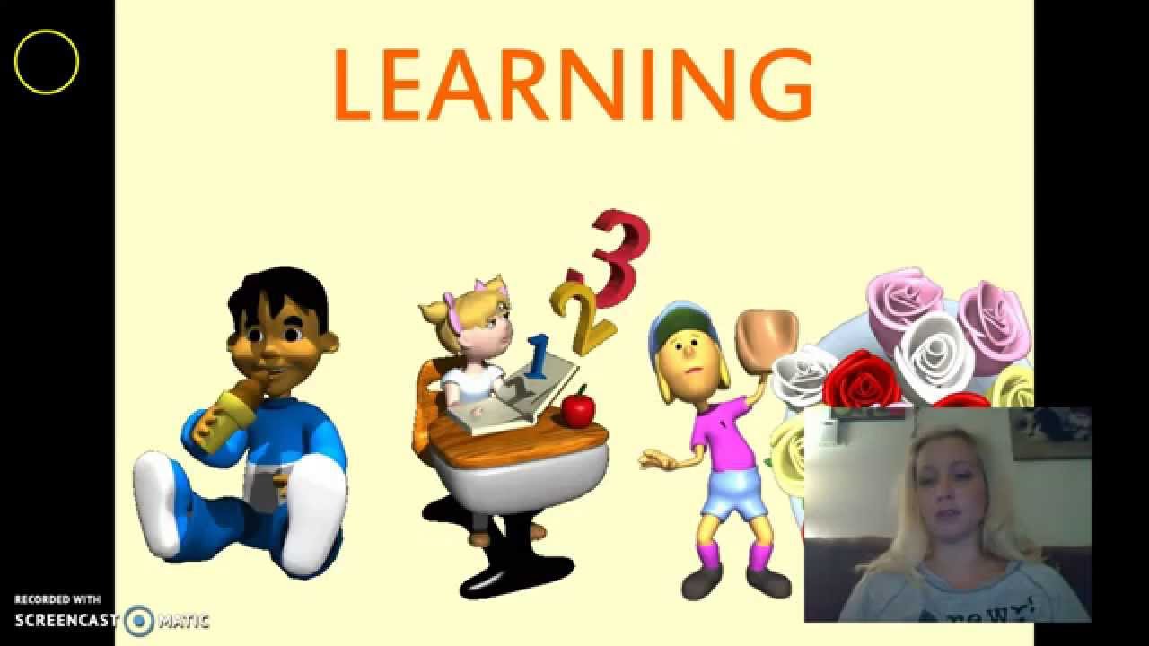 Chapter 6: Learning Review - YouTube