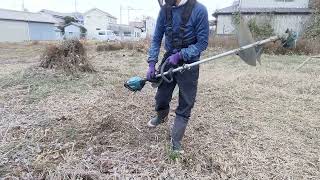 2週間ぶり！　ブラックコードスパイラルで草刈り＆早生玉ねぎ追肥＆白姫はつか大根の種をまいた！