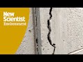 'First ever' fault rupture caught on camera