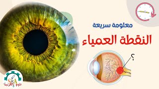 علوم بالعربية - معلومة سريعة- مفهوم النقطة العمياء - blind spoot