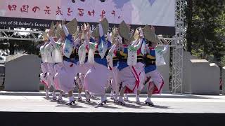 新のんき連 四国の祭り2019.5.4