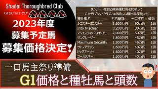 【一口馬主】G1サラブレッドクラブ募集予定馬価格発表！種類豊富な種牡馬産駒が募集されています。サンデー、社台と比較すると安いです！