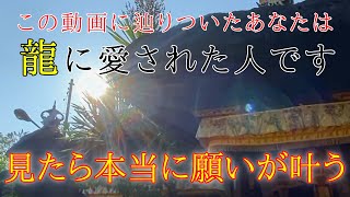 見逃し厳禁⚠️龍神の姿が見えたら願いが叶うサインです。#龍神 #願いが叶う