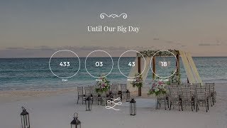How To Use Countdowns In WordPress? Timer Element