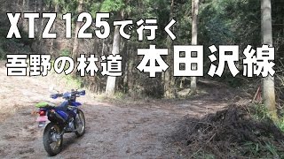 XTZ125で行く、吾野の林道 本田沢線