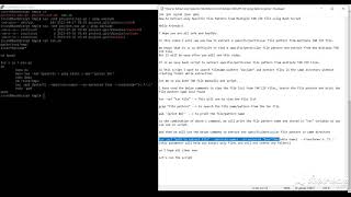 How to Extract only Specific File Pattern from Multiple TAR ZIP files using Bash Script