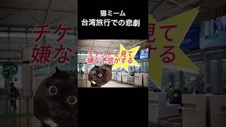 【猫ミーム】台湾旅行での悲劇