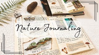 Nature Journal with me 🌿|Going on a hike with my journal