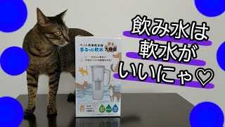 【猫の飲み水】軟水にします！！