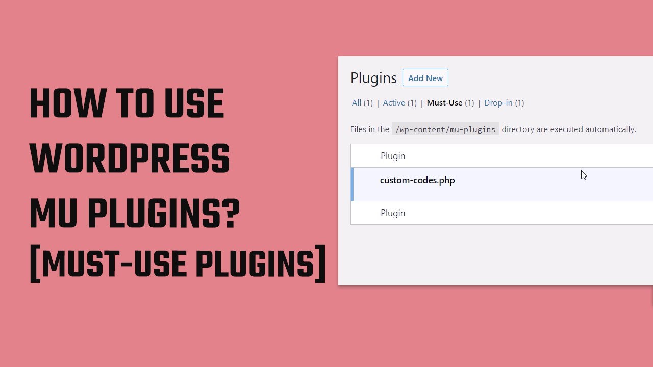 Use Mu Plugins Instead Functions Php To Add Custom Codes Wordpress 58 Use Mu Plugins Instead Functions Php To Add Custom Codes Wordpress 58