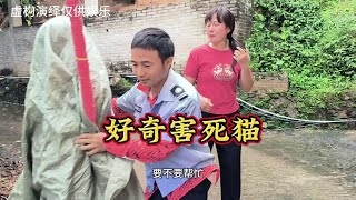 好奇害死猫 #我的乡村生活 #反面教材请勿模仿 #法网恢恢疏而不漏 #严厉打击违法犯罪