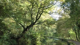 The Cromford Canal