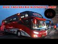 Lari Bareng Haryanto HR 027 Bikin Dengkul Lemes - Trip Report Bus Sudiro Tungga Jaya STJ Saghara