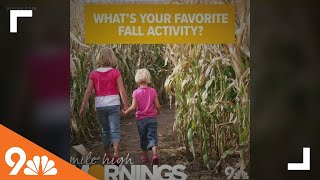9NEWS viewers share favorite fall activities