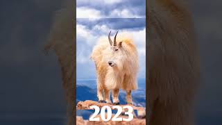 2023 goat🐐VS 5000bce goat #shorts  #ytshort #youtubeshorts #video #trendingshorts #viral