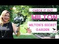 Milton's Secret Garden | Milton Town Hall Courtyard | Check It Out Milton ep 28