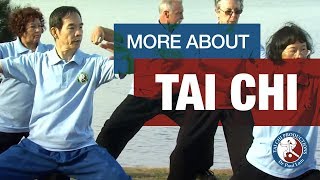 Dr Paul Lam I Online Tai Chi Lessons I More About Tai Chi