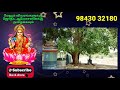 வாழ்வில் பணத்தை ஈர்த்து தரும் 6 மரங்கள் trees for wealth attraction panam sera remedies