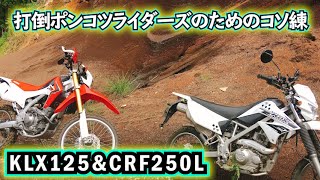 [KLX125] CRF250L初林道をアテンド打倒ポンコツライダーズ[モトブログ]伊豆 オフロード 原付 エンデューロ