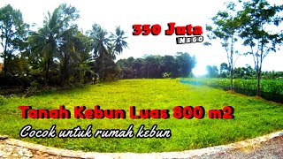 Tanah Kebun Luas 800 m2. Dijual di Bogor Pas Buat Rumah Tinggal