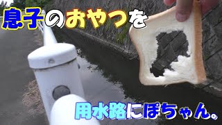 【パンプカ】年間遊漁券を買って楽しもうEP４