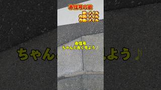 赤信号の歌を一瞬で作詞して歌うメイルw #shorts