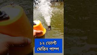 ৫০ ওয়াট সোলার থেকে সরাসরি চলবে, ১২ ভোল্ট মেরিন পানির পাম্প, দাম ১৬৫০ টাকা, মেরিন পাম্প, সোলার পাম্প