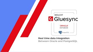 Gluesync 2: Real time data integration between Oracle 19c to PostgreSQL 16.4