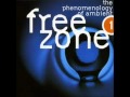 FREEZONE 1  - The Phenomenology Of Ambient  CD2