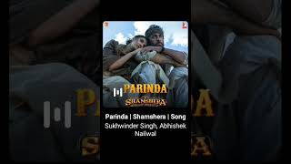 Parinda | Shamshera | Song | Sukhwinder Singh, Abhishek Nailwal