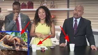 News 19 Anchor Unknowingly Drinks Civet Cat Coffee! Kopi Luwak: Most Expensive Coffee!