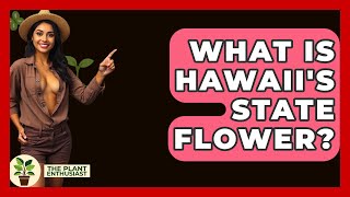 What Is Hawaii's State Flower? - The Plant Enthusiast