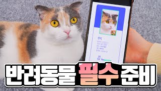 반려동물을 키운다면 꼭 준비해야 하는 것! | 고양이산책