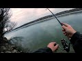 winter zander on danube river