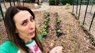 Putting YOUR garden to BED for Winter?!? | Florida Winter Garden Tour 2021