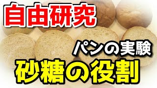 夏休み自由研究「パンと砂糖の関係」小学生～中学生　理科・家庭科