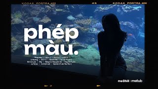 Phép Màu, Lễ Đường - Chẳng Phải Phép Màu Vậy Sao Chúng Ta Gặp Nhau ♬ Những Bài Hát Cực Chill
