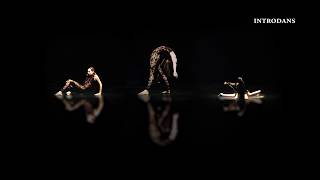 Introdans danst LEVE LARBI