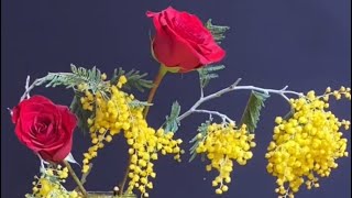 157. Timeless Elegance: Beautiful Red Roses and Yellow Acacia Mimosa Dealbata Harmony