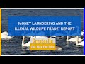 MONEY LAUNDERING AND THE ILLEGAL WILDLIFE TRADE” REPORT FATF-Cryptoclip