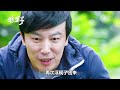 7歲男孩意外救下狼王，從此之后叱咤叢林，成為了《狼王子》 电影 电影解说 影视 影视解说 剧情