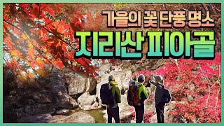 지리산 피아골, 가을의 꽃 단풍 명소