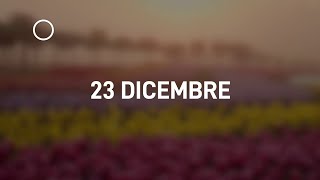 23 Dicembre 2024 | Meditazione Parole di Vita