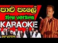 palu pale karaoke පාළු පැලේ without voice marsalin pathirana